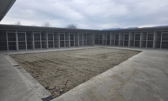 Nou adăpost pentru câini fără stăpân din Alba Iulia, construit cu parteneriat între ONG și primărie.