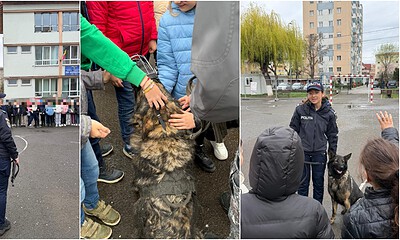 Polițiști și copii interacționează cu câini de poliție în cadrul activităților preventive.