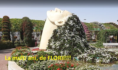 Floare de Florii, simbol al primăverii și al sărbătorii religioase.