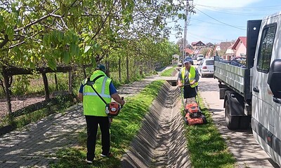 Tuns de întreținere a spațiilor verzi în Sebeș, cu angajați echipați corespunzător, pe strada din mu.