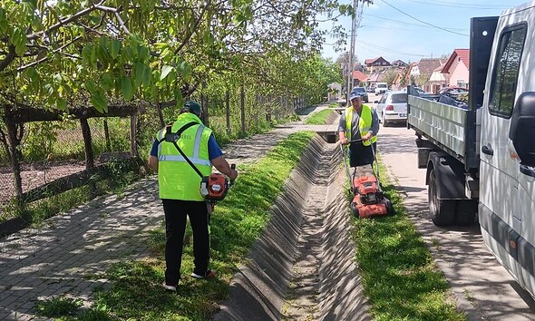 Tuns de întreținere a spațiilor verzi în Sebeș, cu angajați echipați corespunzător, pe strada din mu.