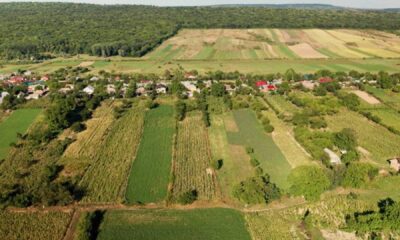Investitii care schimba fermele apanoastra.ro proictul RAPID