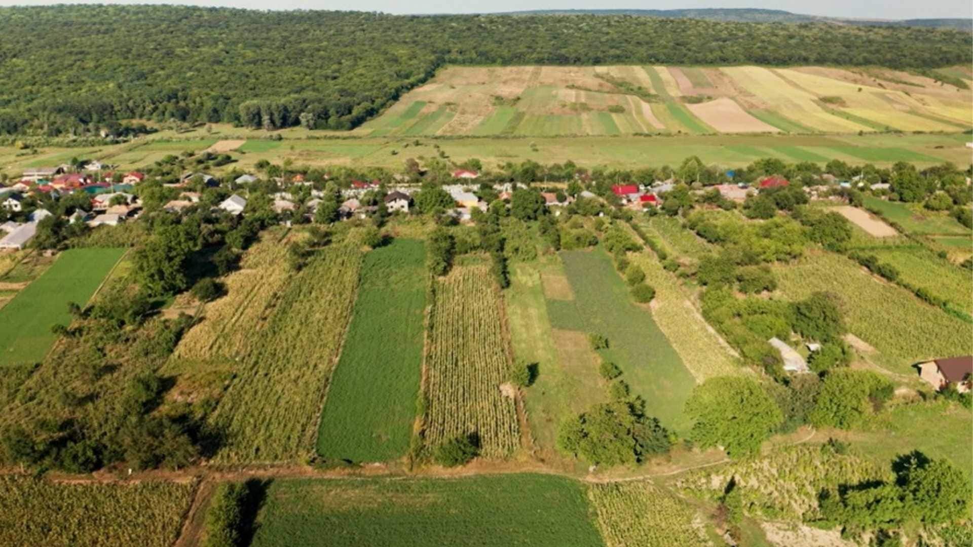 Investitii care schimba fermele apanoastra.ro proictul RAPID