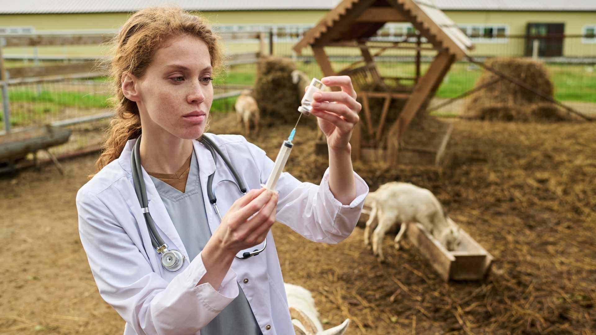 poiectul RAPID apanoastra.ro ferme agricultura