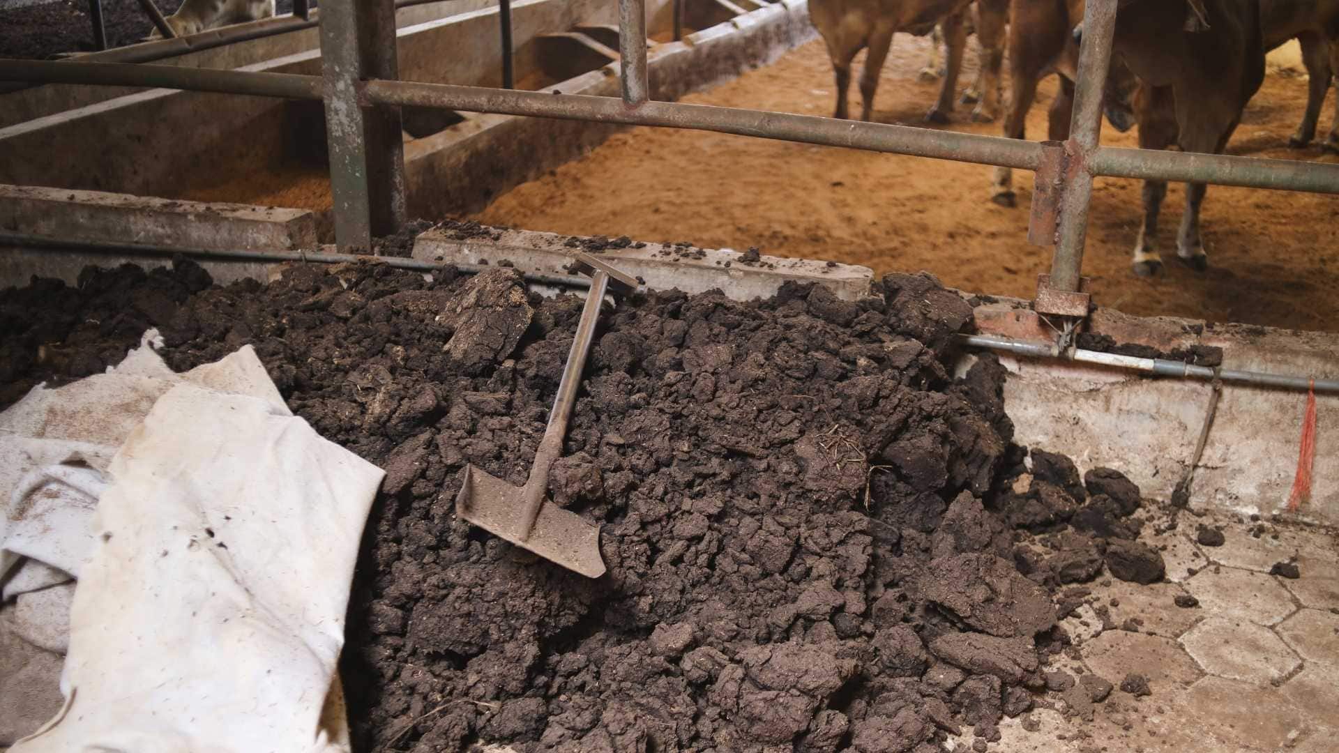 poluarea cu amoniac apanoastra.ro proiectul RAPID