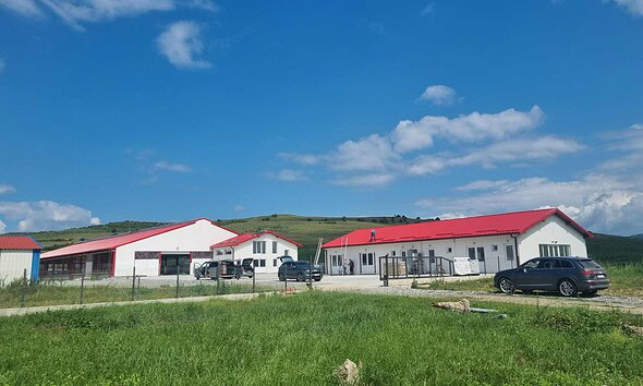 proiectul rapid apanoastra.ro ferma zootehnia moderna