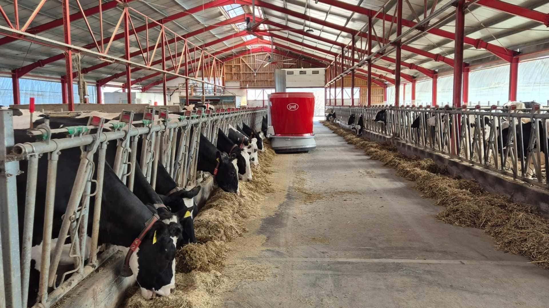 proiectul RAPID apanoastra.ro ferma zootehnia moderna