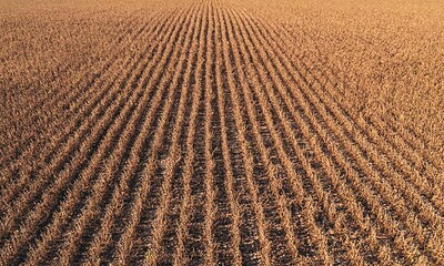 proiectul RAPID apanoastra.ro agricultura