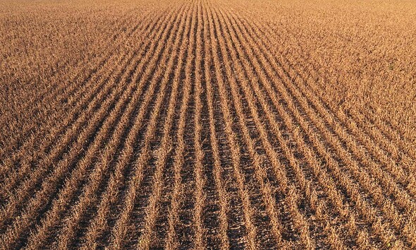 proiectul RAPID apanoastra.ro agricultura