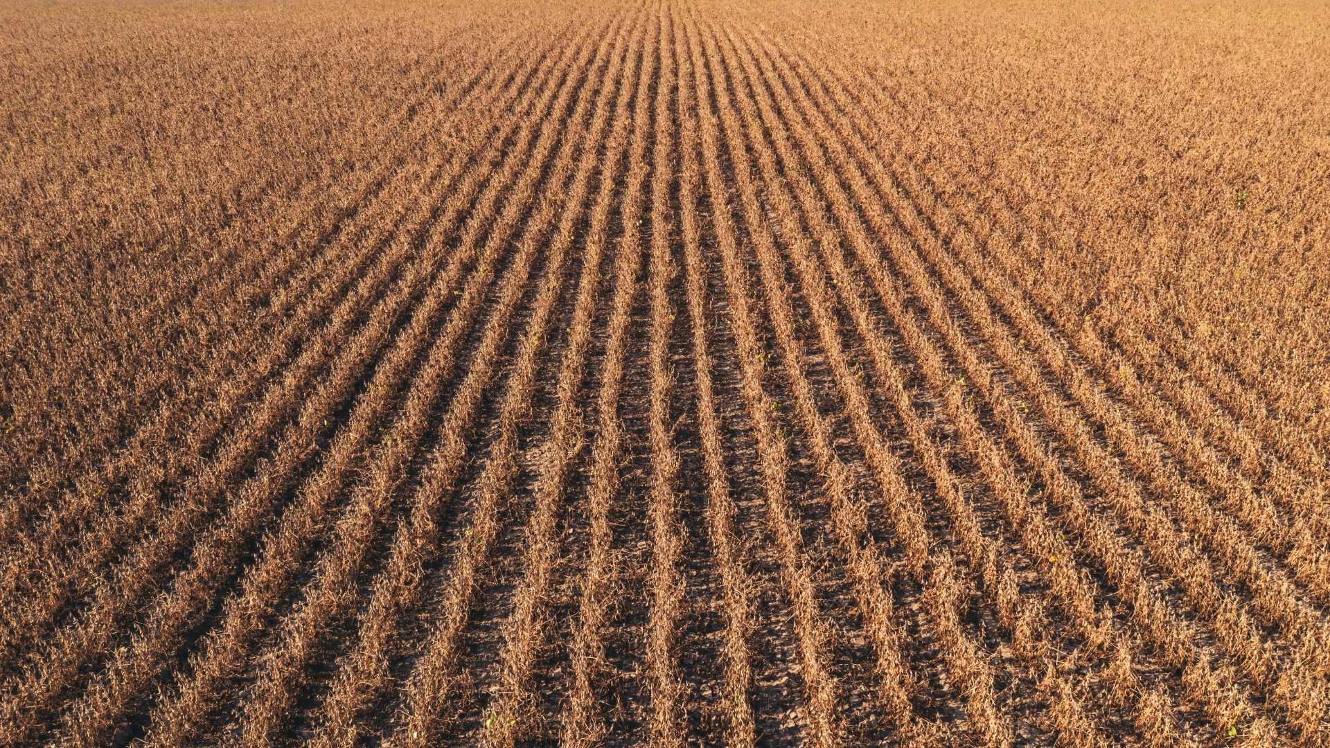proiectul RAPID apanoastra.ro agricultura
