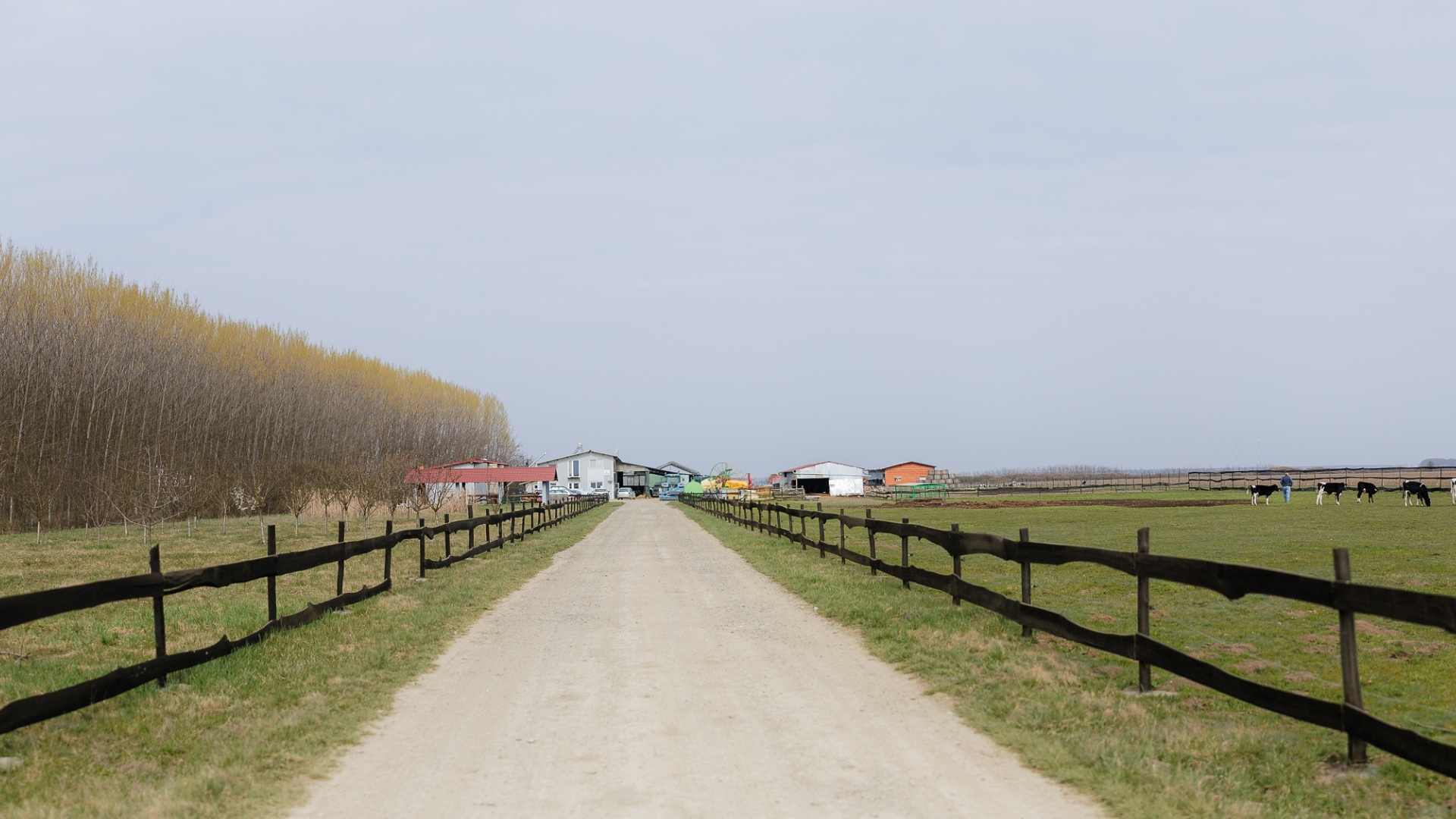 proiectul RAPID apanoastra.ro ferma agricultura ministerul mediului
