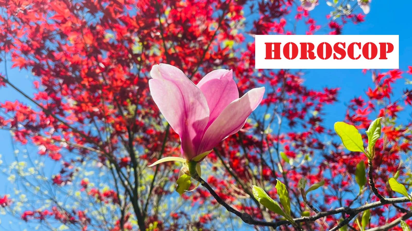 horoscop
