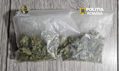 droguri canabis