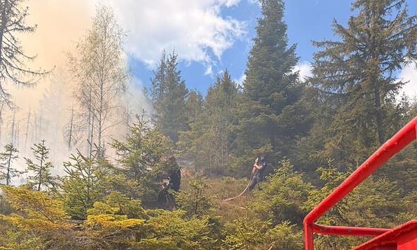 incendiu padure