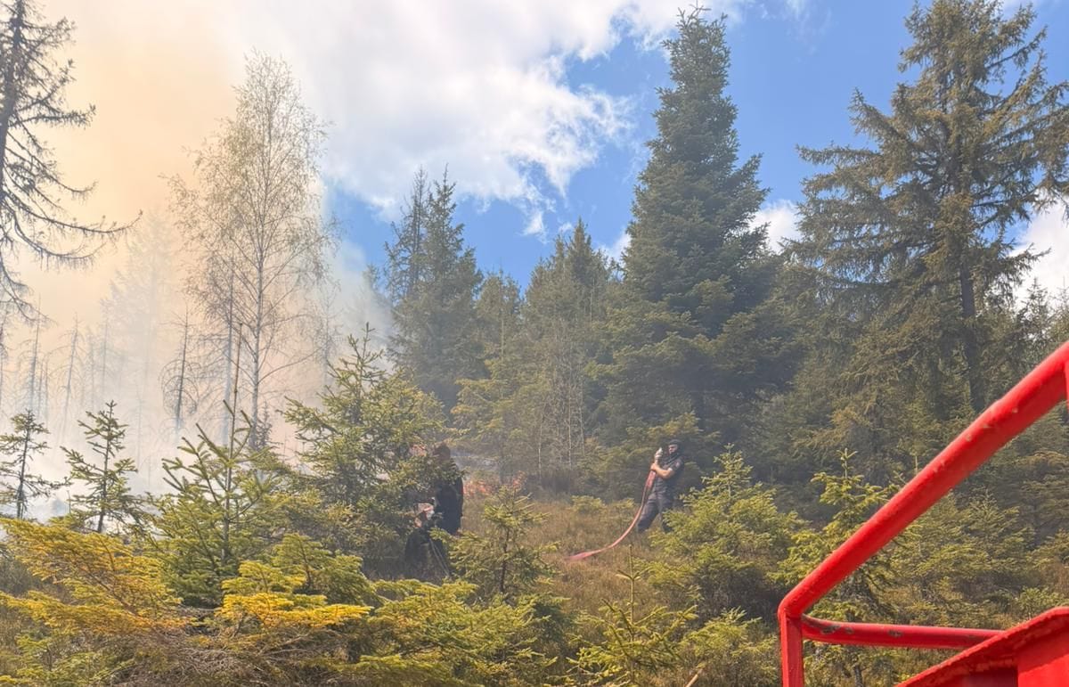 UPDATE: Incendiu de pădure în munții Sebeșului-Șureanu. Acționează pompierii din Sebeș, cu două autospeciale