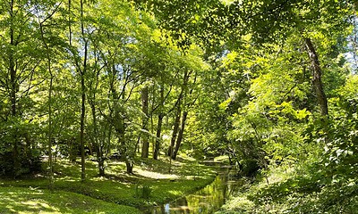 peisaj parc padure meteo