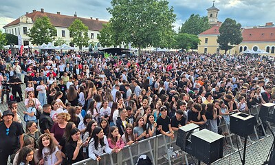 AlbaFest 2026 public