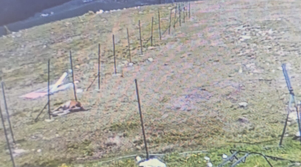 VIDEO ȘTIREA TA: Un cal a murit la Șureanu, după ce s-a prins în gardul de la pârtiile de schi