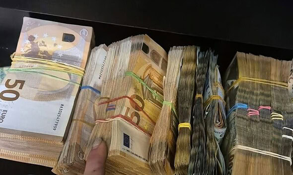 euro valuta bani