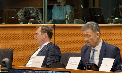 mircea hava europarlamentar ppe