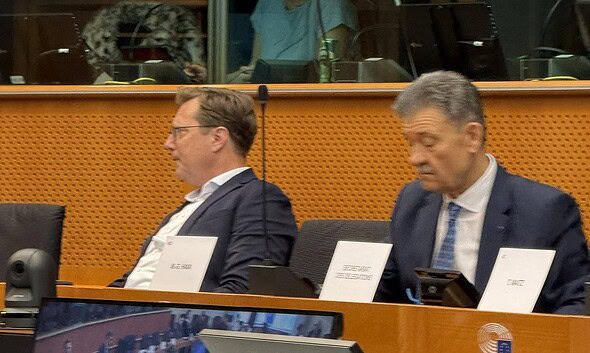 mircea hava europarlamentar ppe