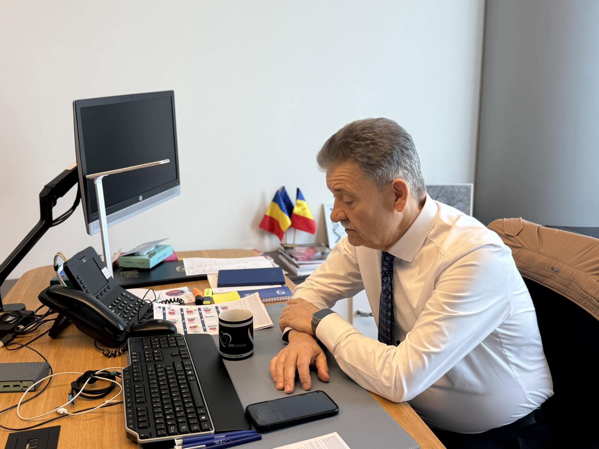 mircea hava europarlamentar eurodeputat pnl ppe