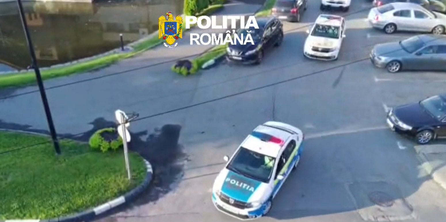perchezitii actiune politia ab