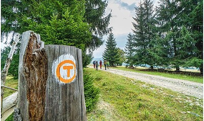 via transilvanica