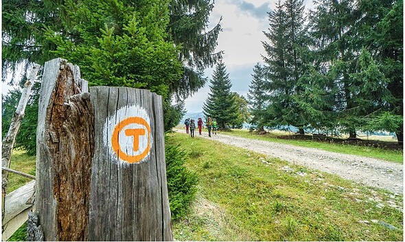 via transilvanica