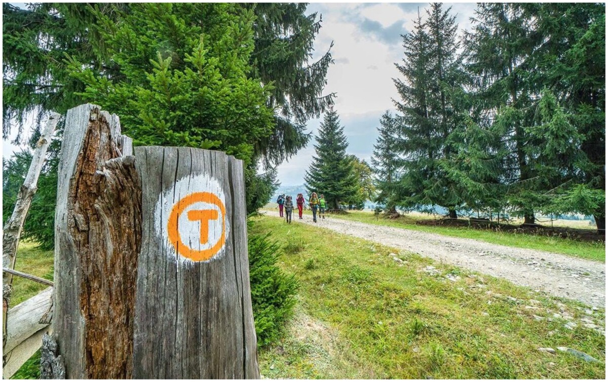 via transilvanica