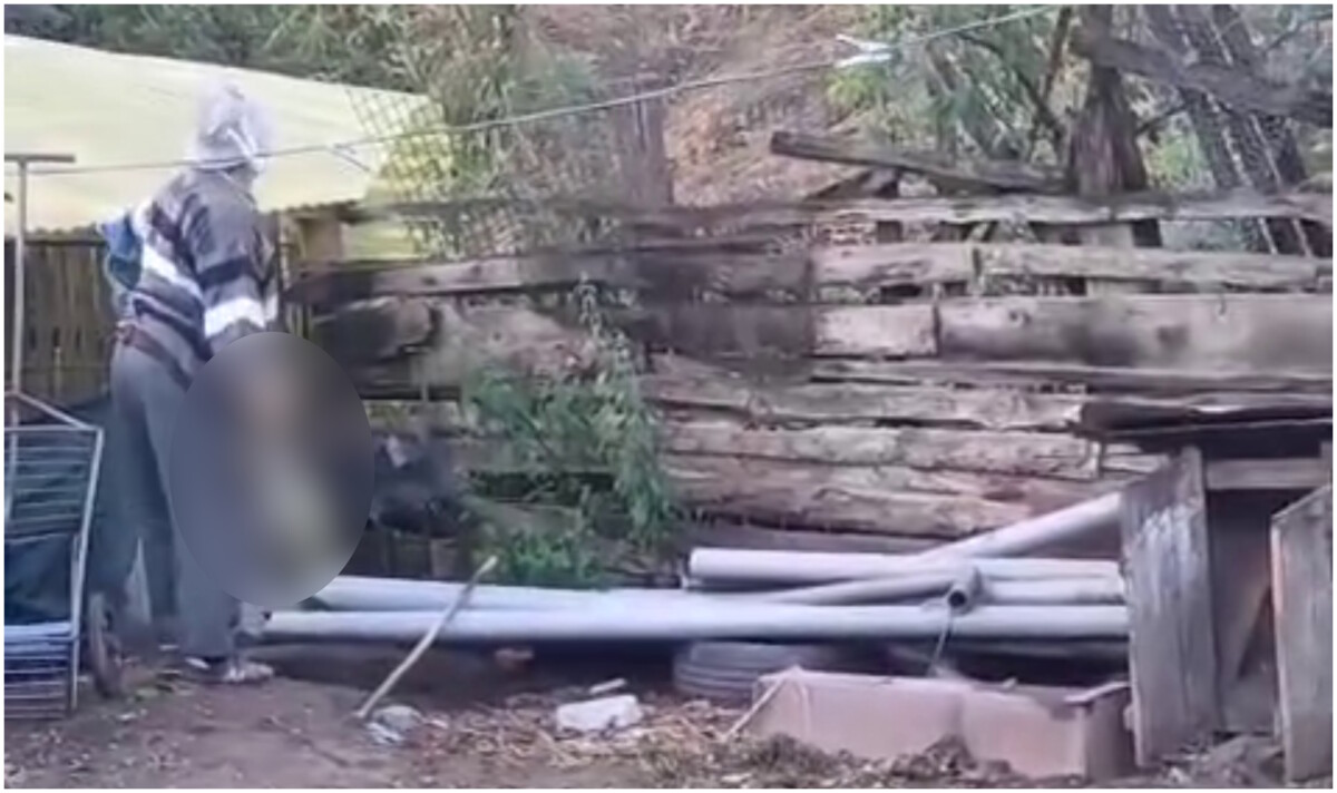 Bărbat de 78 de ani din comuna Meteș, cercetat de polițiști după ce a ucis o pisică și mai apoi a aruncat-o peste gard