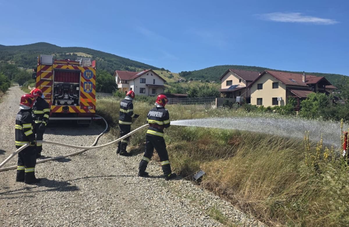 UPDATE: Incendiu de vegetație uscată în Micești. Pompierii din Alba Iulia intervin cu o autospecială