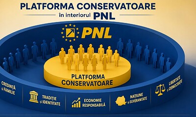 Platforma Conservatoare din PNL