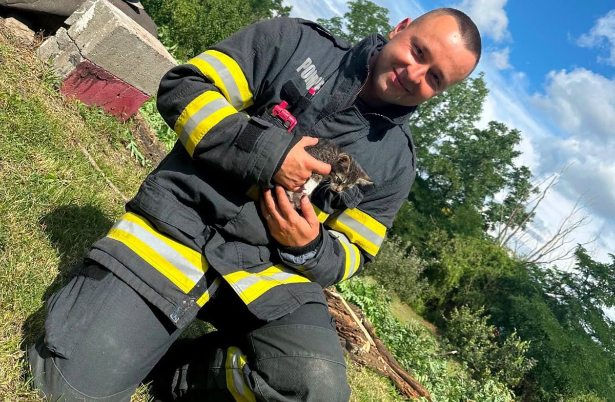 FOTO: Pui de pisică căzut într-o fântână din Daia Română, salvat de pompierii din Sebeș