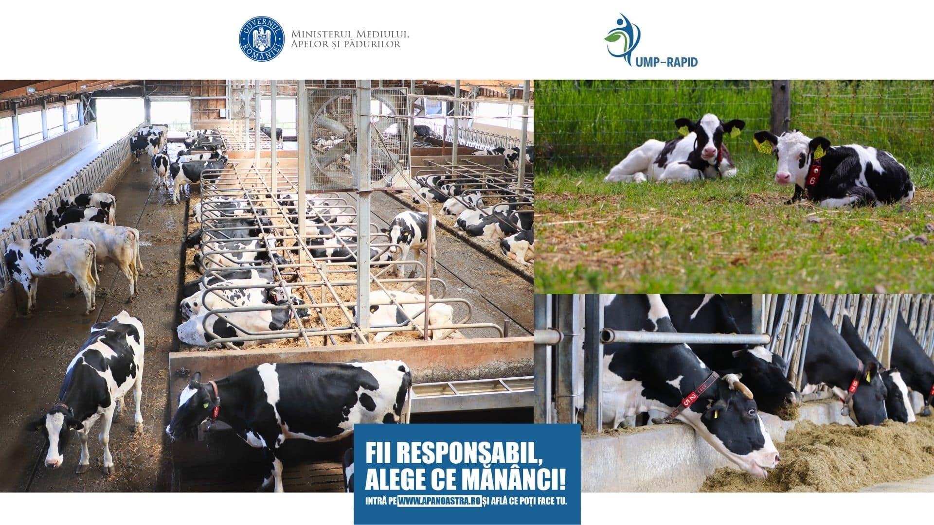 proiectul RAPID apanoastra.ro ministerul mediului agricultura ferma