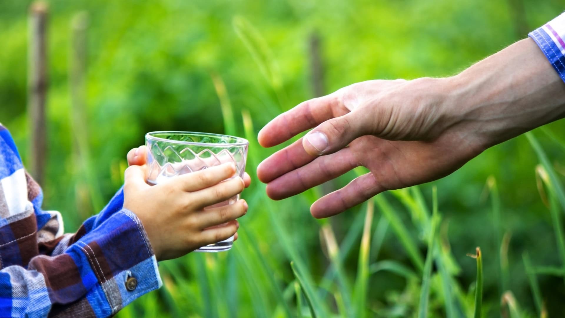 fermieri agricultura apanoastra.ro Proiectul RAPID Ministerul Mediului