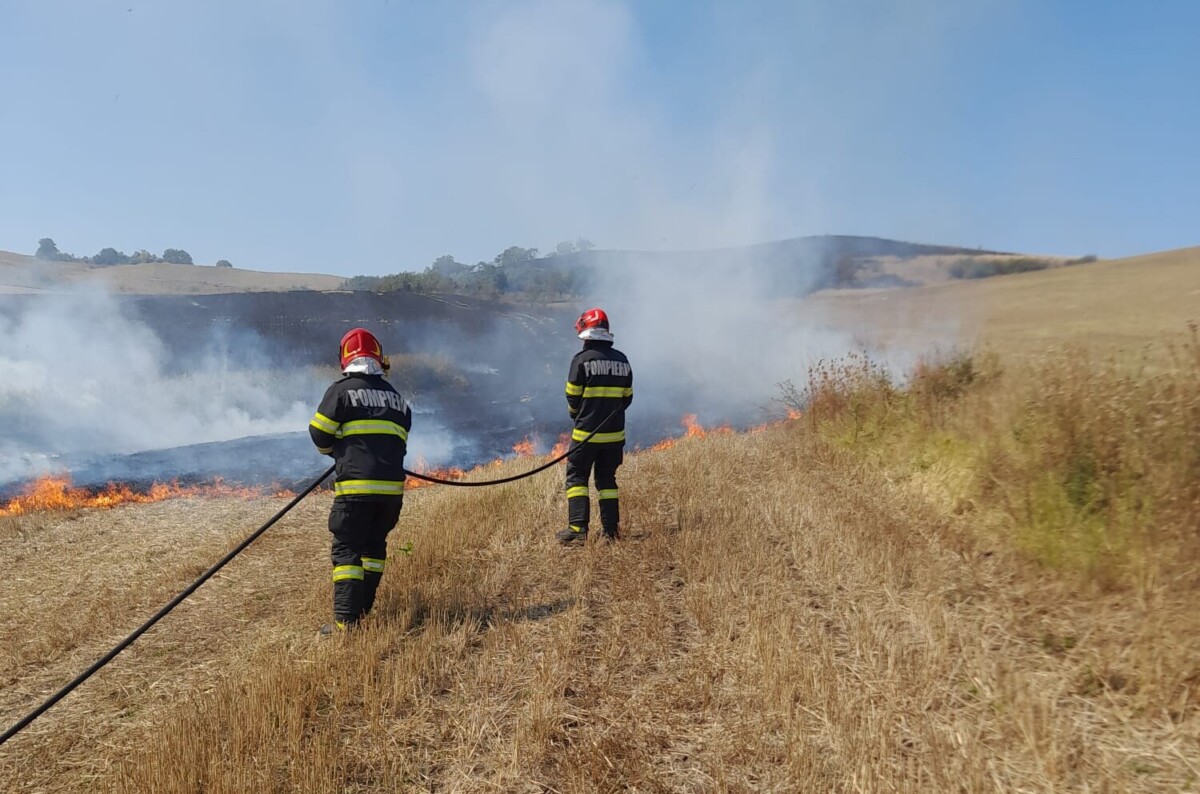 FOTO: Incendiu de vegetație uscată pe 10 hectare, la Bucerdea Grânoasă. Au intervenit pompierii din Blaj și SVSU Bucerdea
