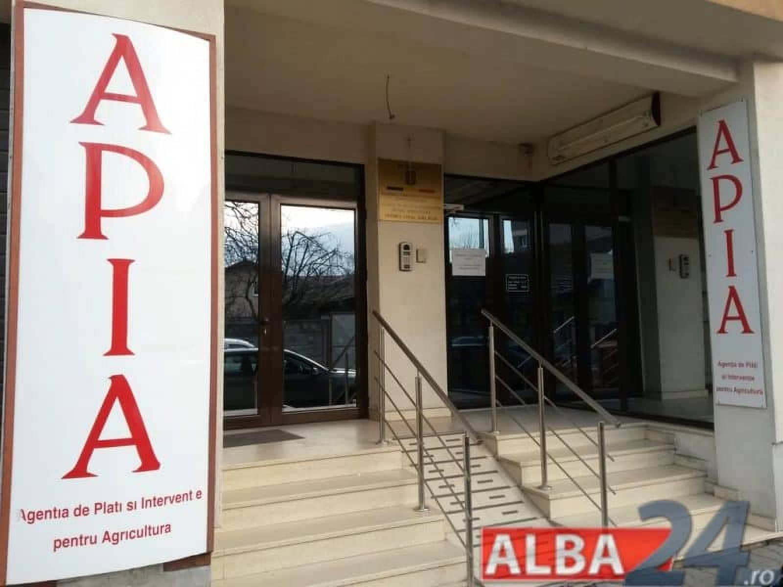 Crescătorii de porci și bovine din Alba pot depune, din 1 septembrie, cereri pentru ajutorul de stat. Cât primesc pe cap de animal