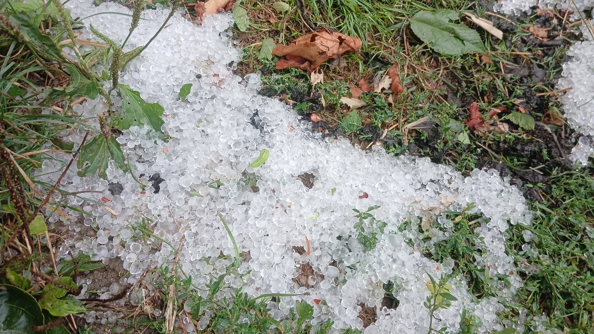 FOTO ȘTIREA TA Furtună cu grindină la Benic, în comuna Galda de Jos. Mai multe localități din județ, sub avertizare Cod Portocaliu