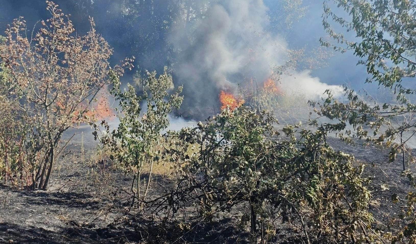 UPDATE: Incendiu la Șugag, pe un teren cu vegetație uscată. Acționează pompierii din Sebeș