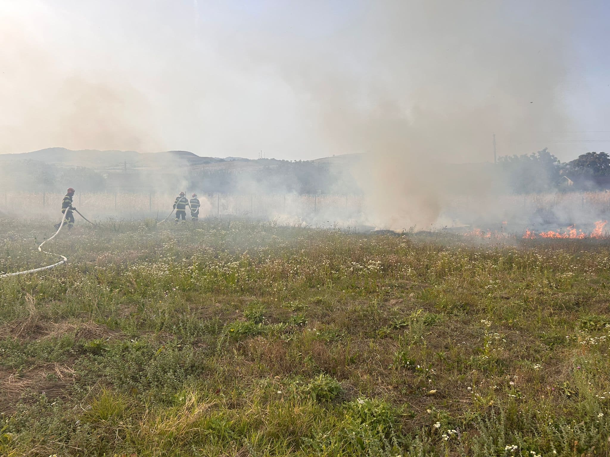 FOTO: INCENDIU de vegetație uscată în Șard. Intervin pompierii din Alba Iulia și SVSU Ighiu