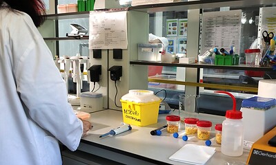 proiectul RAPID apanoastra.ro ministerul mediului alimente agricultura