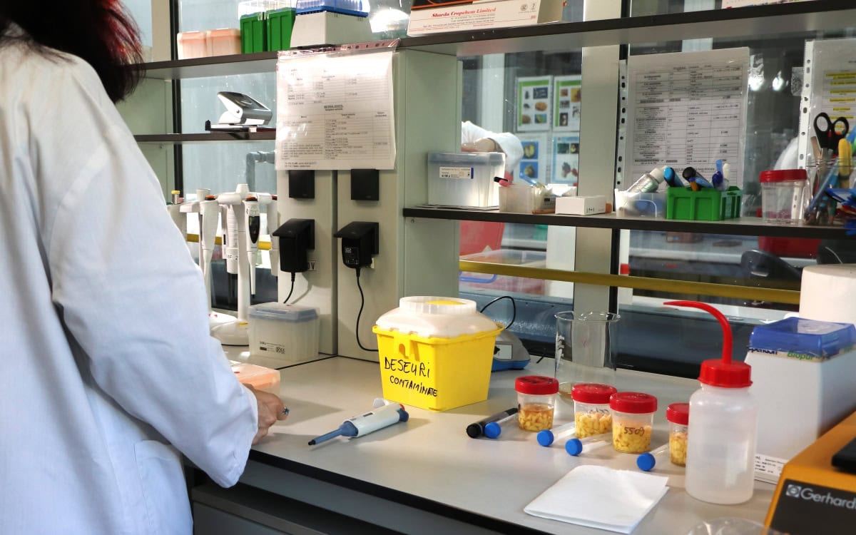 proiectul RAPID apanoastra.ro ministerul mediului alimente agricultura