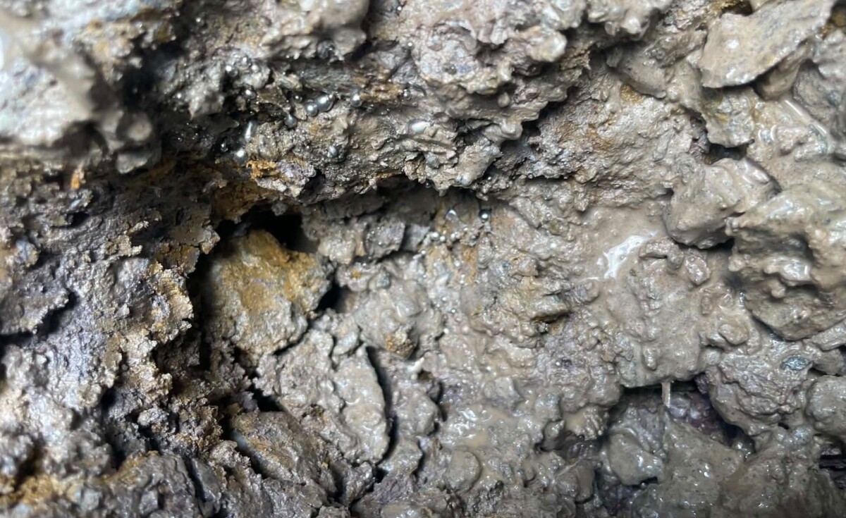 FOTO: Mercur descoperit într-o fântână dintr-un cătun din Apuseni. Precizările șefului Gărzii de Mediu Alba