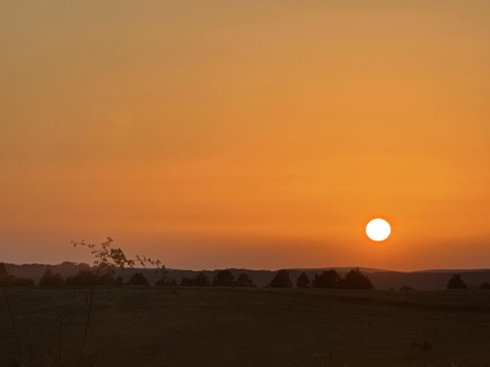 vremea in alba prognoza meteo canicula august
