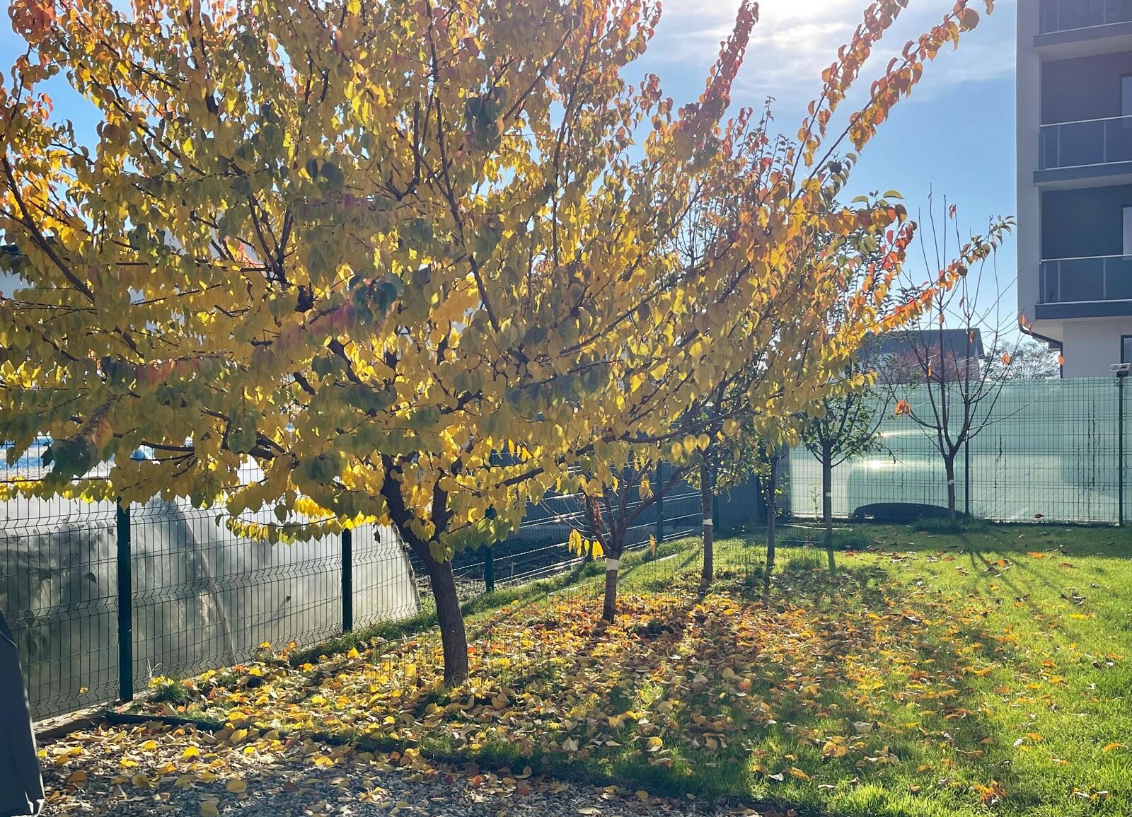Prognoza meteo pentru septembrie 2026: toamna începe cu temperaturi peste normal. Cum va fi vremea în fiecare săptămână